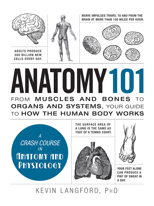 Kevin Langford 的 Anatomy 101 內容詳情 - 可供借閱